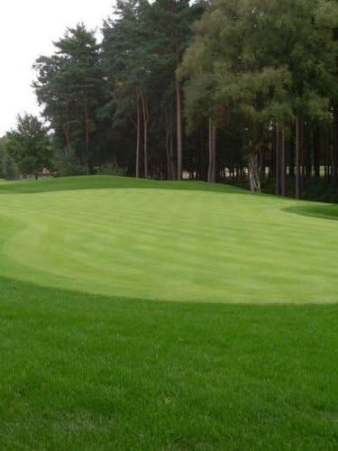 Top Quality Golf Putting Green Grass Seed - Bowling Green Lawn Seed - Grass for All Types of Greens - Perfect for Prestige Lawns - 1 x 2kg