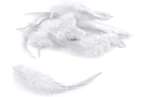 ‎CREATIVERY 3g Hahnenkreuz Federn ca. 8-13cm (weiß 029) // Dekofedern Bastelfedern Federn Hahn Natur Schmuckfedern Vogelfedern Hahnenfedern
