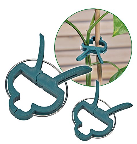 COM-FOUR 60x Planzenclips, Pflanzenklammern, Rankhilfe – 30 große und 30 kleine Pflanzenclips - 5