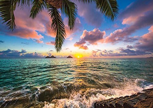 Welt-der-Träume | Photo Wallpaper Wall Mural 130gsm Non-Woven | Beach | VEM (104cm. x 70,5cm.) | 11748VEM-AW | Beach Tropical Palm Sky Water Sea Sand Wave Sun