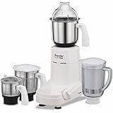 preethi mixer mg 142