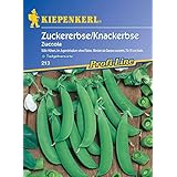 Zuckererbsen Knackerbse Zuccola tolerant