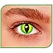 Produktbild Fancy Linsen, farbige Kontaktlinsen, GREEN DEVIL, GRÜNE TEUFEL, OHNE AUGEN KORREKTUR