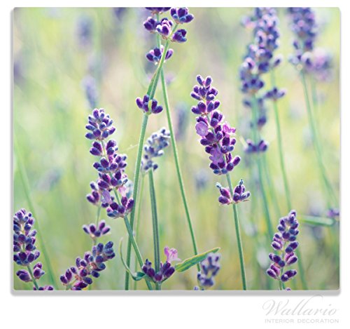 Wallario Herdabdeckplatte / Spitzschutz aus Glas, 1-teilig, 60x52cm, für Ceran- und Induktionsherde, Lila Blumenfreude - Violette Pflanzen auf der Wiese