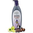 Ayur herbal shampoo for men and women | Controls Dandruff & Reduces Hairfall | Suitable for All Hair Types (500ml)