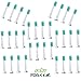 Produktbild sohv® stardand Ersatz Bürstenköpfe Kompatibel mit Elektrische Zahnbürste Philips Sonicare ProResults, 32 PCS (8packs)