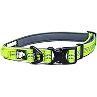 [Gesponsert]Halsband, Raffaelo Hundehalsband für Hunde Sicherheits Hundeband führt Gürtel Halsband für Mittlere und Große HundeHunde Verstellbarer (Collar(M 35-50CM))