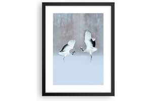 ARTTOR Poster da Parete Grullas Lucha Danza Póster Marco Negro 30x40cm Moderno Cuadros Decorativo Decoracion Salon Dormitorio Cocina Cuadros Pared Imágenes Wall Art Prints Decor - P2BPA30x40-4497