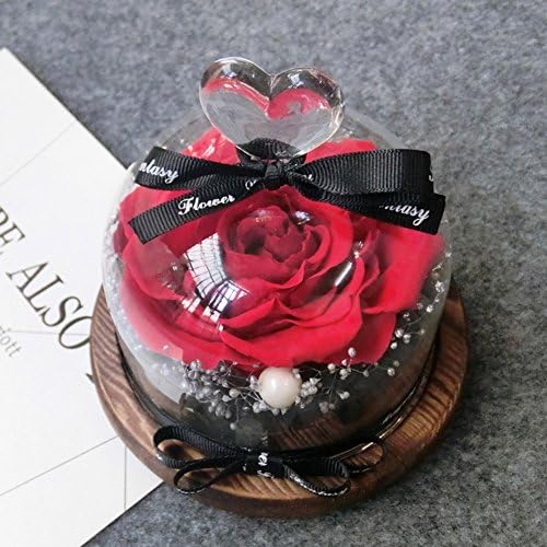 Beauty and the beast rose set,LED,Preserved flower rose,Gift box Glass cover Diy Valentine day,Never withered real Wedding Valentine,Anniversary, Birthday-B