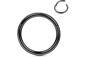 Roheafer Anillos nasales hipoalergénicos Titanio G23 Anillos Nariz aro 14G 16G 18G 20G Anillos segmentos bisagras para Mujeres Hombres Helix Tragus Cartílago Septum Joyería Anillos perforación Cuerpo