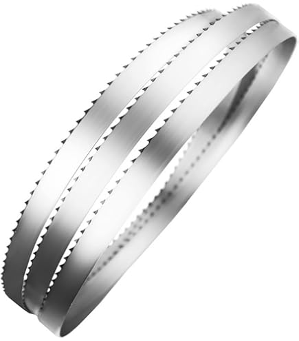 5 Lame Per Segaossa 2000x16x6 Mm – Punte Temperate Salvador, Acciaio C100, Made In Italy, Per Carne Fresca E Surgelata