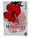 Banjara's 3 Lot X Hibiscus Powder 100gm