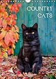 COUNTRY CATS (Wandkalender 2014 DIN A4 hoch): Bezaubernde Katzen fotografiert auf dem Land und in Bauerngärten. (Monatskalender, 14 Seiten) by 
