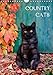COUNTRY CATS (Wandkalender 2014 DIN A4 hoch): Bezaubernde Katzen fotografiert auf dem Land und in Bauerngärten. (Monatskalender, 14 Seiten) by 