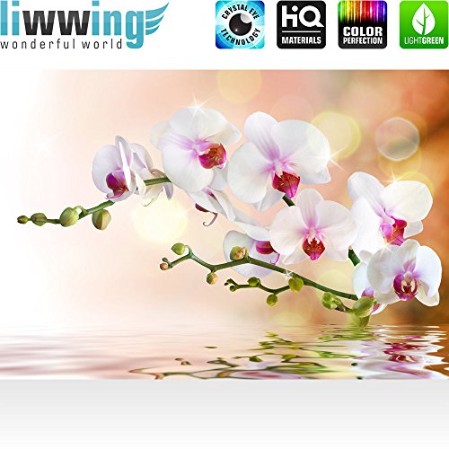 Vlies Fototapete 200×140 cm – Top ! PREMIUM PLUS Foto Tapete ! Wandbilder XXL Wandbild Bild Fototapeten Tapeten Wandtapete Wanddeko Wand Blumen Orchidee Natur – no. 200 - 2