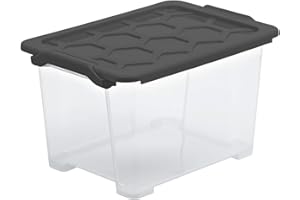 Rotho Evo Safe Keeping Caja de almacenamiento de 15l con tapa, plástico alimentario (PP) sin BPA, antracita, 15l (39.3 x 28.3 x 23.0 cm)