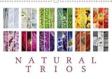 Natural Trios (Wall Calendar 2018 DIN A3 Landscape): Enjoy the beauty of natural colour trios (Birthday calendar, 14 pages ) (Calvendo Places) by 