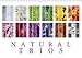 Natural Trios (Wall Calendar 2018 DIN A3 Landscape): Enjoy the beauty of natural colour trios (Birthday calendar, 14 pages ) (Calvendo Places) by 