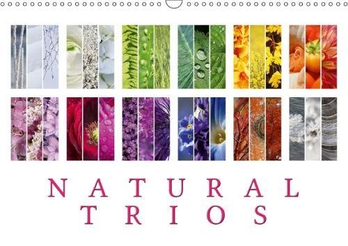 Natural Trios (Wall Calendar 2018 DIN A3 Landscape): Enjoy the beauty of natural colour trios (Birthday calendar, 14 pages ) (Calvendo Places)