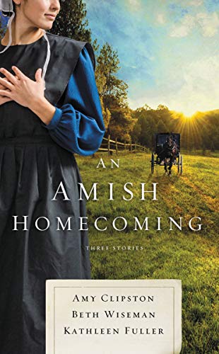 Preisvergleich Produktbild An Amish Homecoming: Three Stories