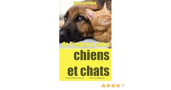 Guide Pratique De Lentente Entre Chiens Et Chats