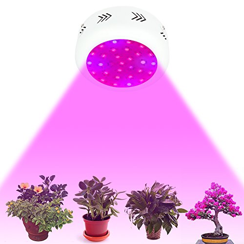 JADIDIS 300W UFO LED Pflanzenlampe Doppelte Chips für Kraut Blume Zimmerpflanzen Wachsend Hydroponisches System 9 Band Vollspektrum Wachsen Licht(10W Leds) - 6