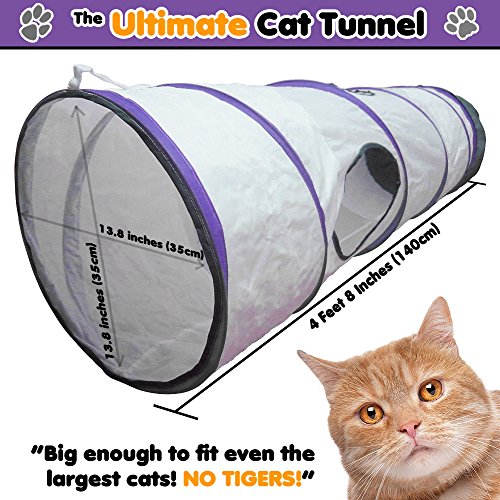 cat tunnel for large cats