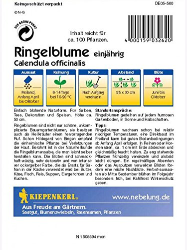 Ringelblumen Heilkraut Calendula officinalis für Tee- und Salbenzubereitung - 2