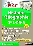 Image de ABC BAC EXCELLENCE HIST-GEO 1E
