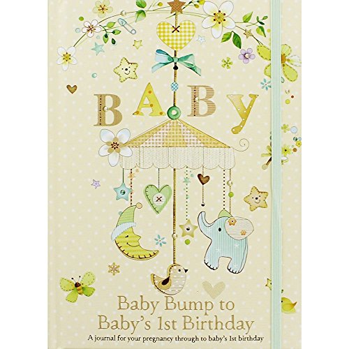Baby Bump To 1st Birthday Journal