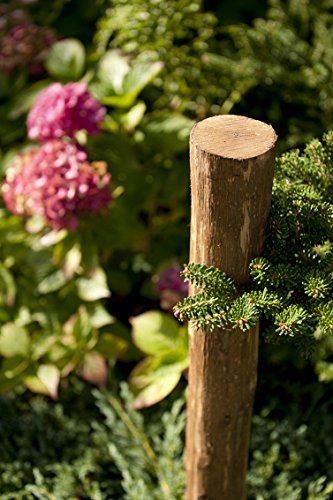 Zaunpfahl – mit 3 Schlaufen Pflanzpfahl Pfahl Pfosten aus Kastanienholz – rund, geschält und einseitig angespitzt, ideal als Staketenzaun, als Zaunpfosten oder als Torpfosten, Stärke 8-12cm, Höhe:120 cm - 2