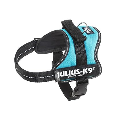 Julius-K9 Powergeschirr, Mini / M: 51-67 cm / 28 mm, aquamarin