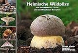 Heimische Wildpilze 2015 by 