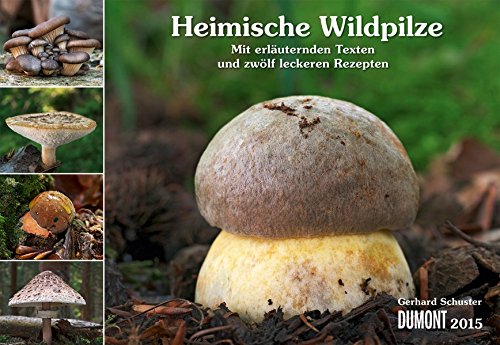 Heimische Wildpilze 2015