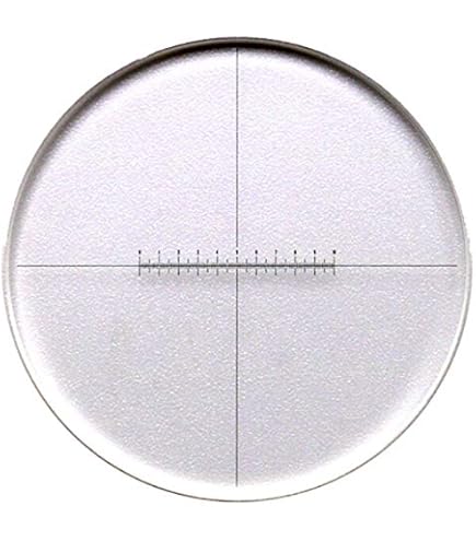 Reticolo Oculare Per Microscopio - Micrometro Vetro 0.1mm Con Scala 5mm - Foto 8