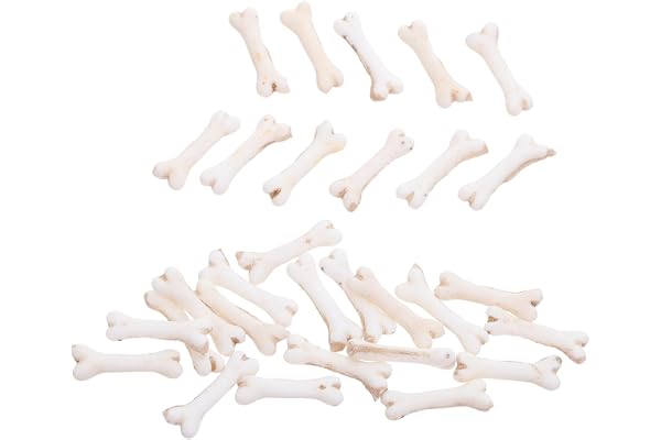 ORFOFE 30 St Miniatyr Ben Dekorationer Halloween Falska Skelettben Mini Små Resin Ben Figurer Miniatyrhund Skallar DIY Fest Tillbehör