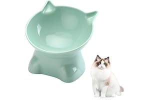 CHEDIN Podwyższona Miska dla Kota z Nachyleniem 15°, Miska na Karmę i Wodę, Idealna dla Zwierząt Domowych, Kotów i Szczeniaków (Zielona, Jednokolorowa)