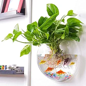 Acrylic Wall Hanging Bowl for Fish and Indoor Water Plants 12 Inch White Colour