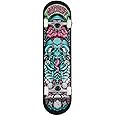 Rocket Skateboards Complete Skateboard Bones Pile-up 7.75 Inch