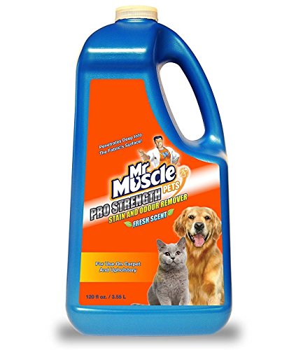Mr-Muscle-Pets-Pro-Strength-Stain-Odour-Remover-Fresh-Scent-Patented-Formula-Professional-Strength-Cleaner-for-Use-On-Carpet-Nylon-and-Upholstery-355-Litre