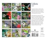 Image de Colibris 2017 Calendar