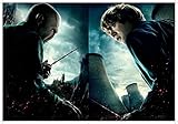 Image de Harry Potter Poster Collection: The Definitive Movie Posters