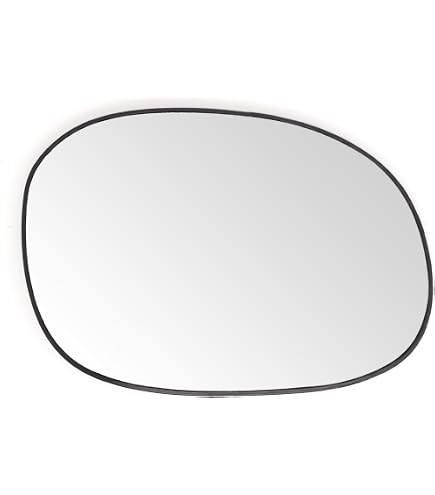 Specchietto Destro Citroen C2 2005 | Usato - Used | Auto