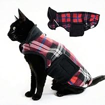 Sphynx Winddichte Rollkragenjacke Für Katzen - Warmer Fleece-Hoodie Für Herbst & Winter