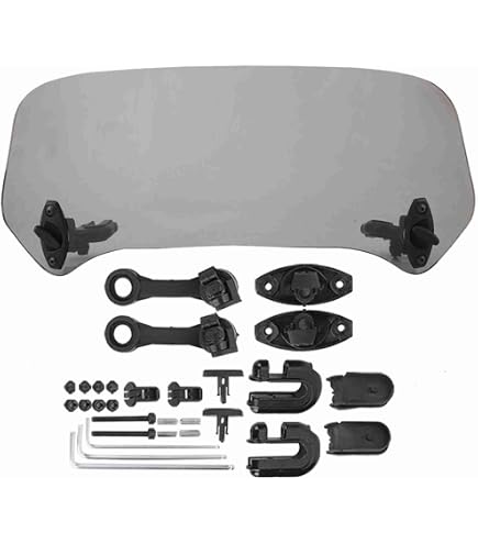 MRA Racingscheibe R Rauchgrau Für Aprilia RS 125 (95-98)