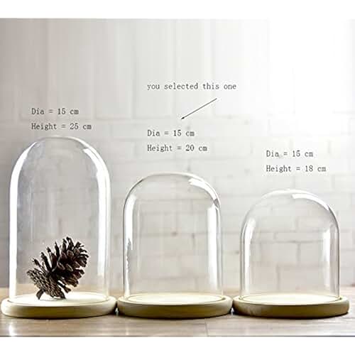 Amazon.co.uk glass dome display case