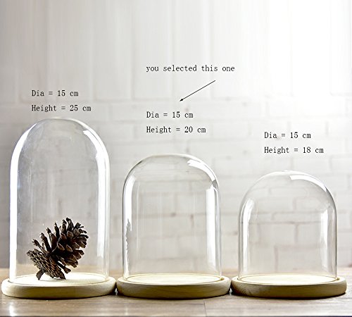 Glasglocke Dome mit Holz Tablett ø 15 cm, glas, farblos, M