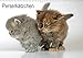 Perserkätzchen / CH-Version (Wandkalender 2019 DIN A3 quer): Neun Katzenbabys im Fotostudio (Monatskalender, 14 Seiten ) (CALVENDO Tiere) by 