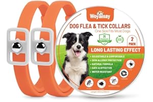 Woyamay Collier Anti Puces pour Chien, Réglable Résistant à l'eau Collier Chien Anti Puces et Tiques, 8 Mois Naturel Collier Anti Tique Chien pour Chien Toutes Races et Tous âges - Orange (2 Paquet)