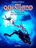Image de Der Prinz und der Verlierertyp (Questland 2)